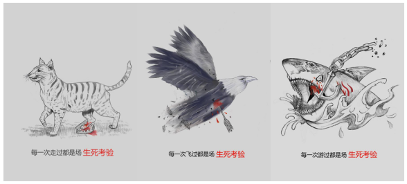 QQ图片20171103084441.png